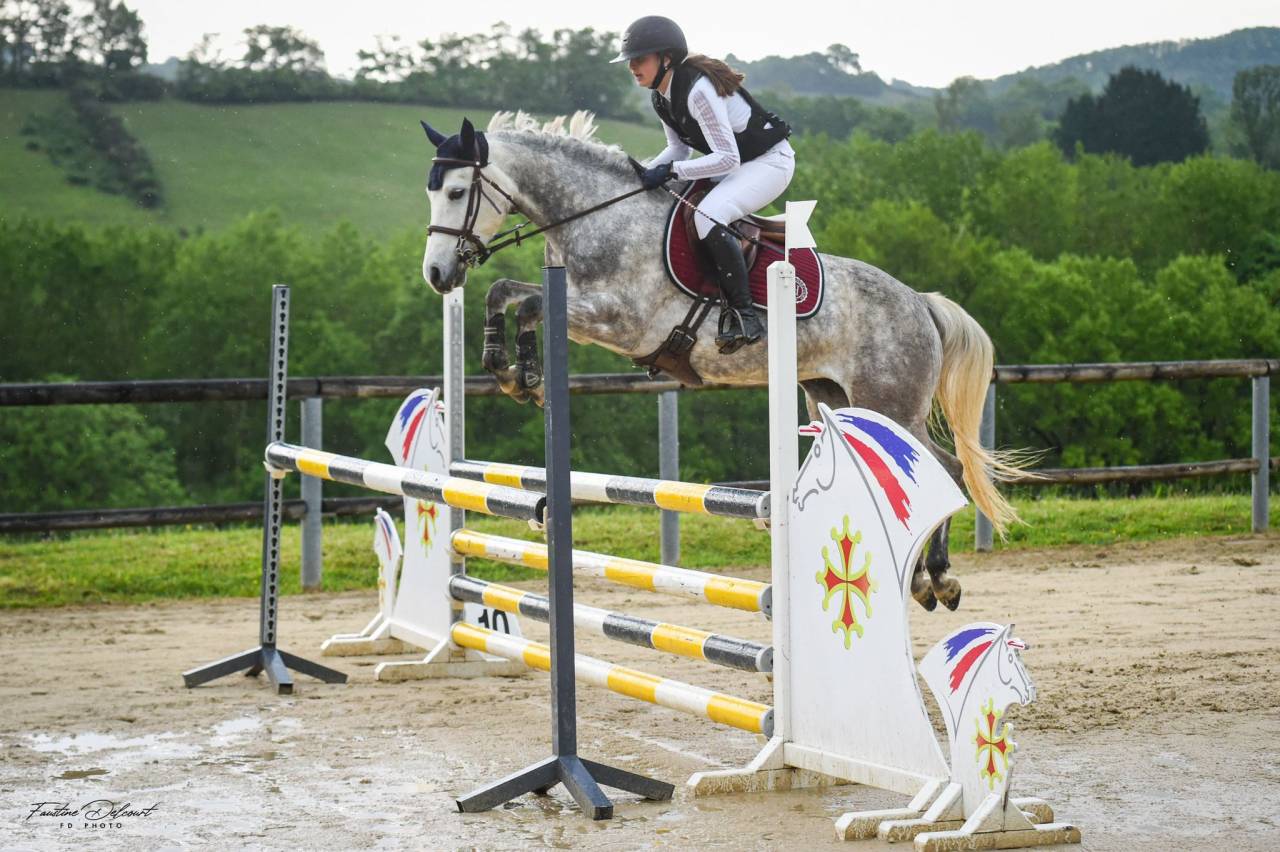 Mare Origin Recorded For sale 2019 Grey