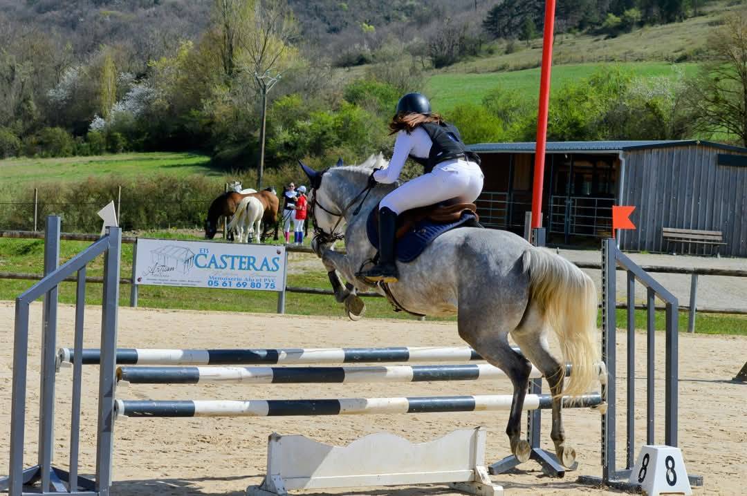 Mare Origin Recorded For sale 2019 Grey