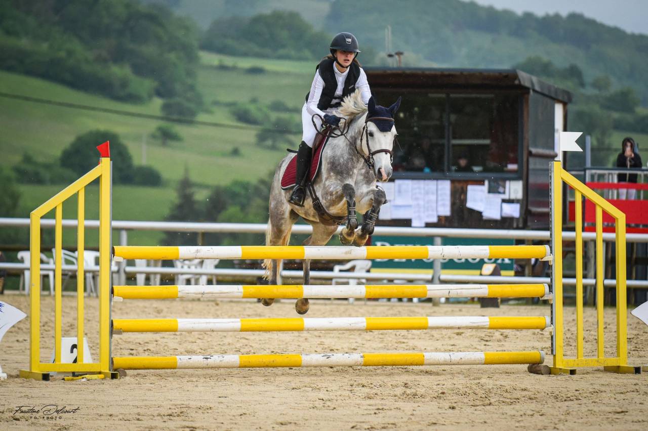 Mare Origin Recorded For sale 2019 Grey