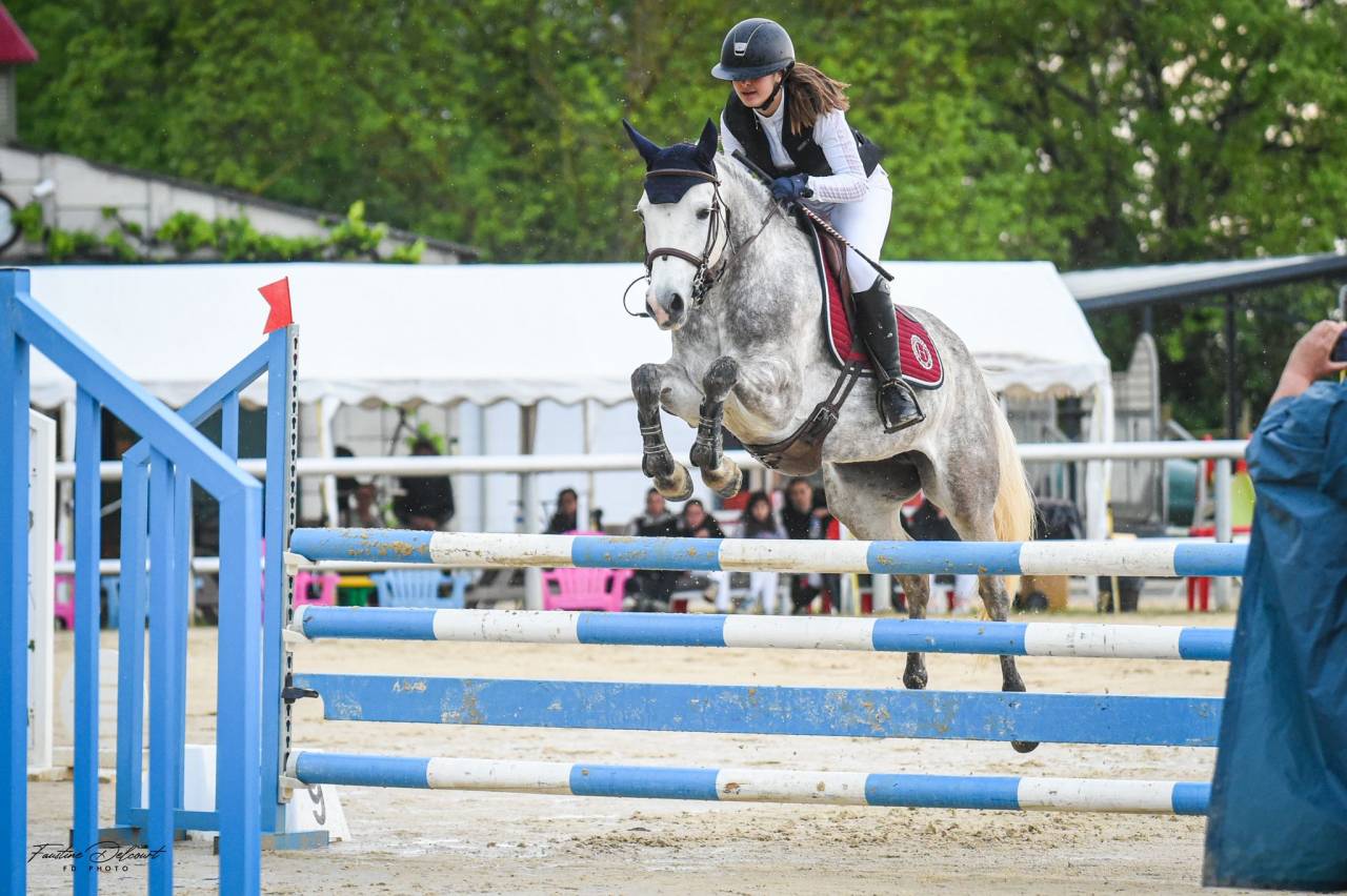 Mare Origin Recorded For sale 2019 Grey