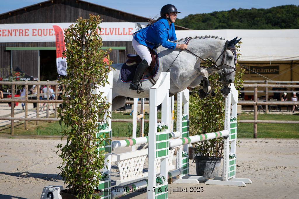 Mare Selle Français For sale 2018 Grey