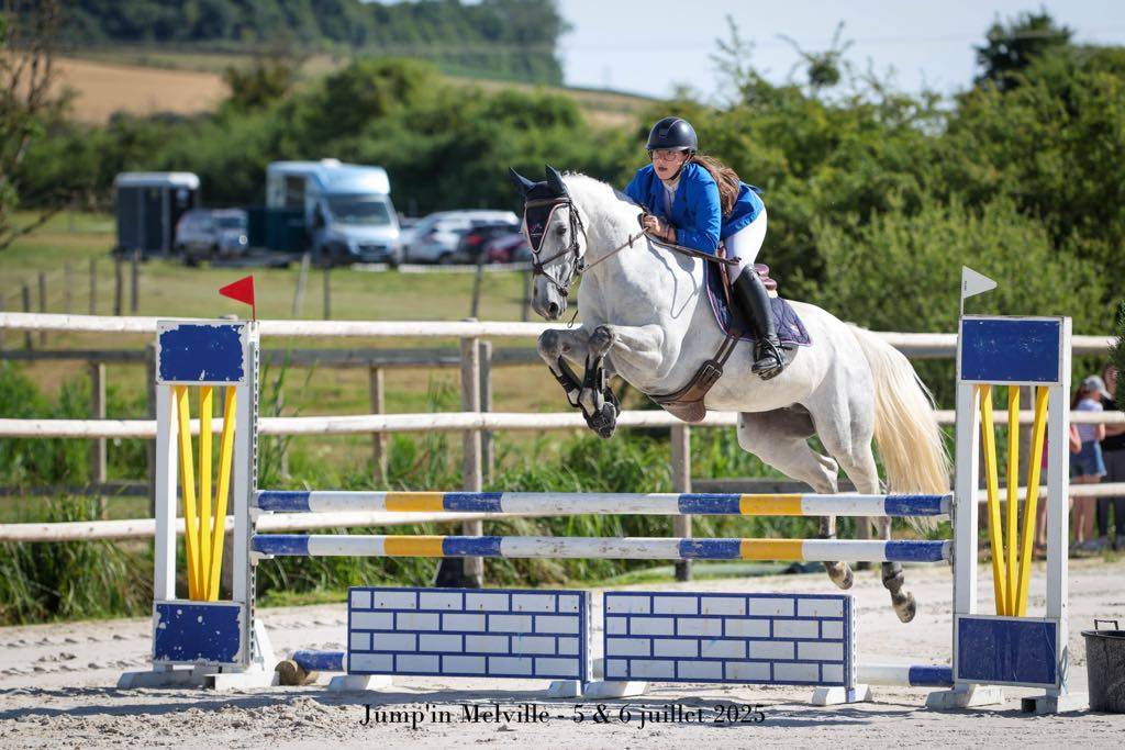 Mare Selle Français For sale 2018 Grey
