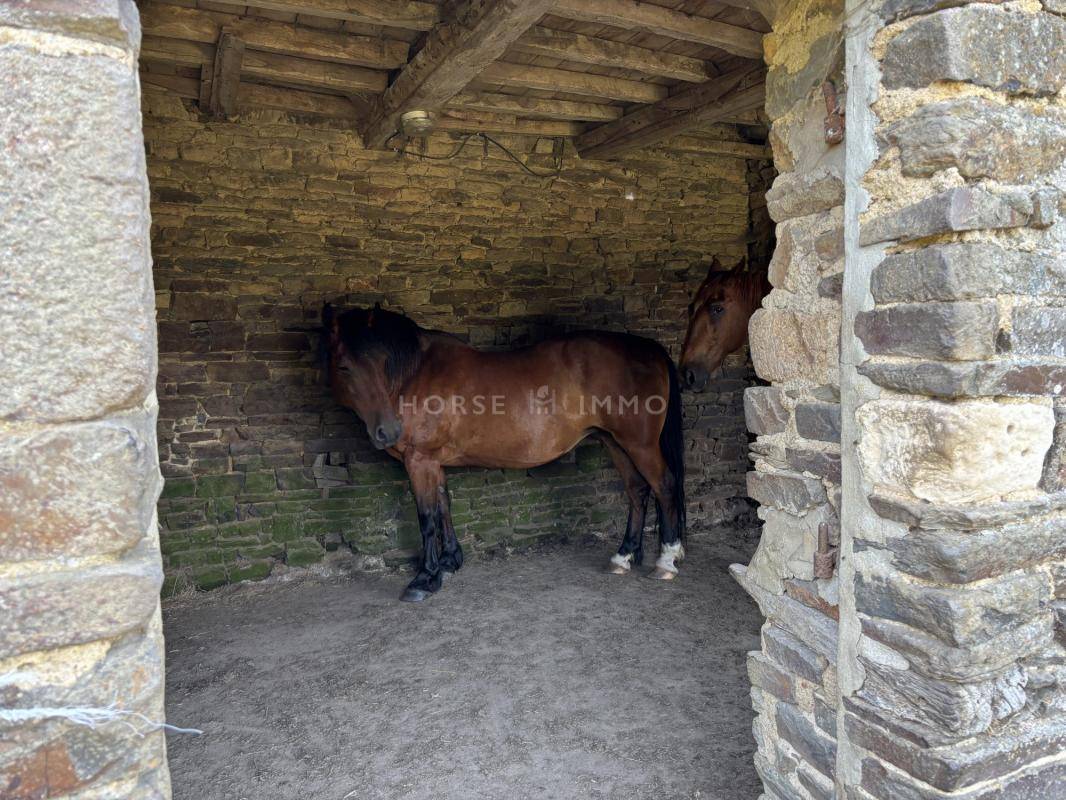 Equestrian property  Calvados
