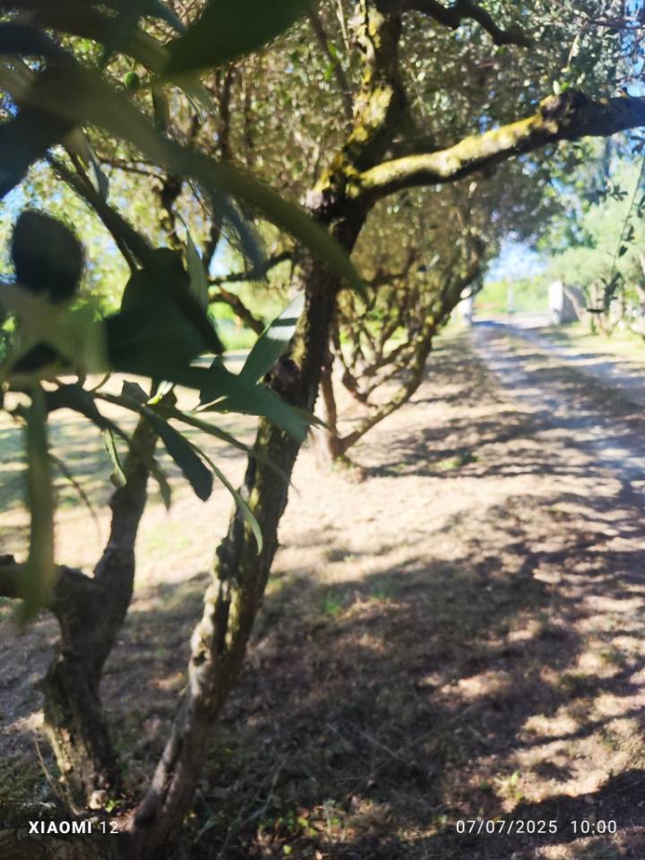 Equestrian property  Gard