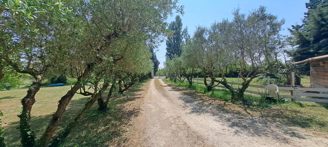 Equestrian property  Gard