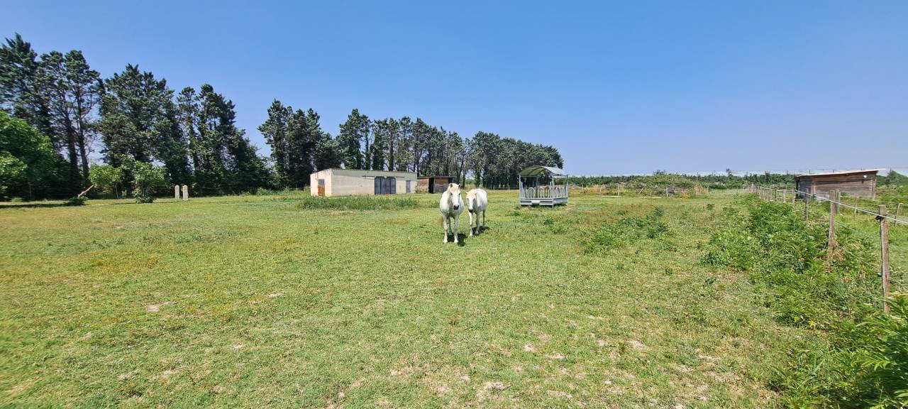 Equestrian property  Gard