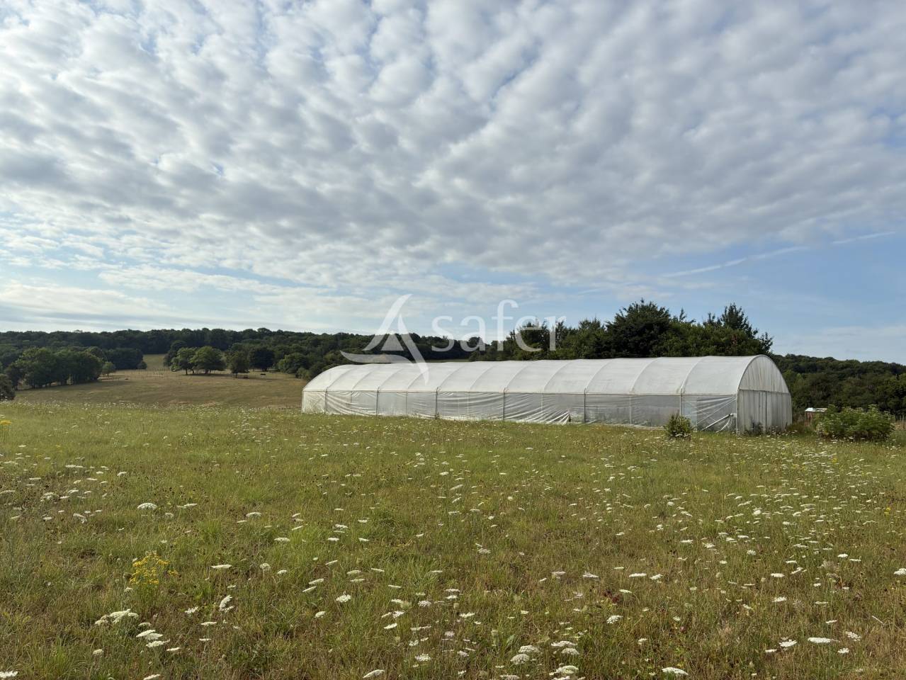 Other agricultural property  Haute-Saône