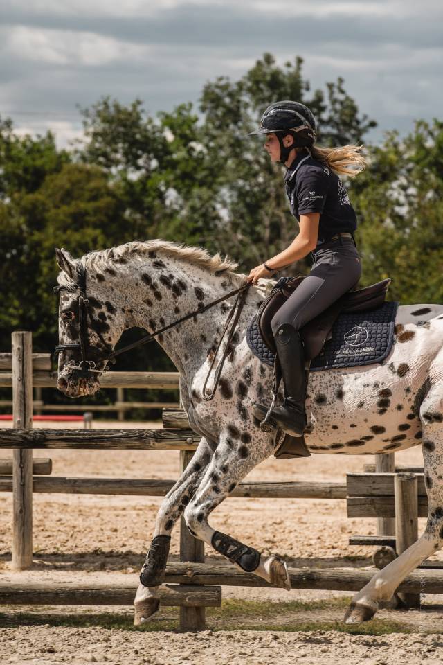 Joli c&oelig;ur Z - Zangersheide 2015