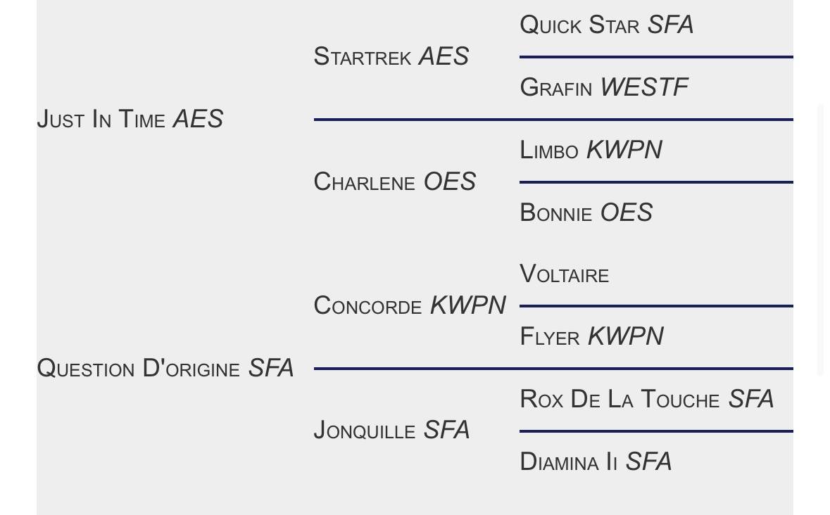 Joli c&oelig;ur Z - Zangersheide 2015