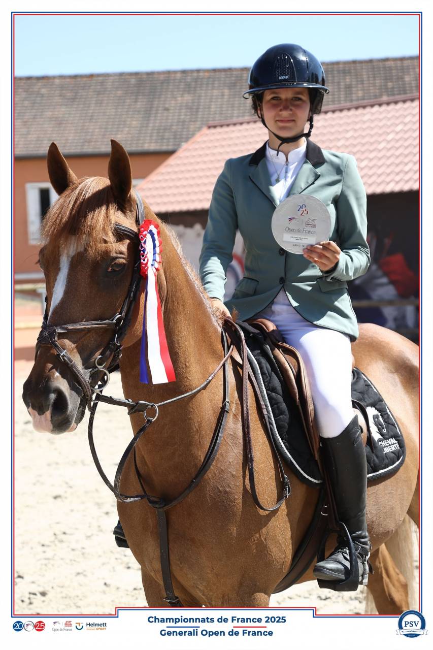 Gelding French Saddle Pony For sale 2013 Liver chestnut