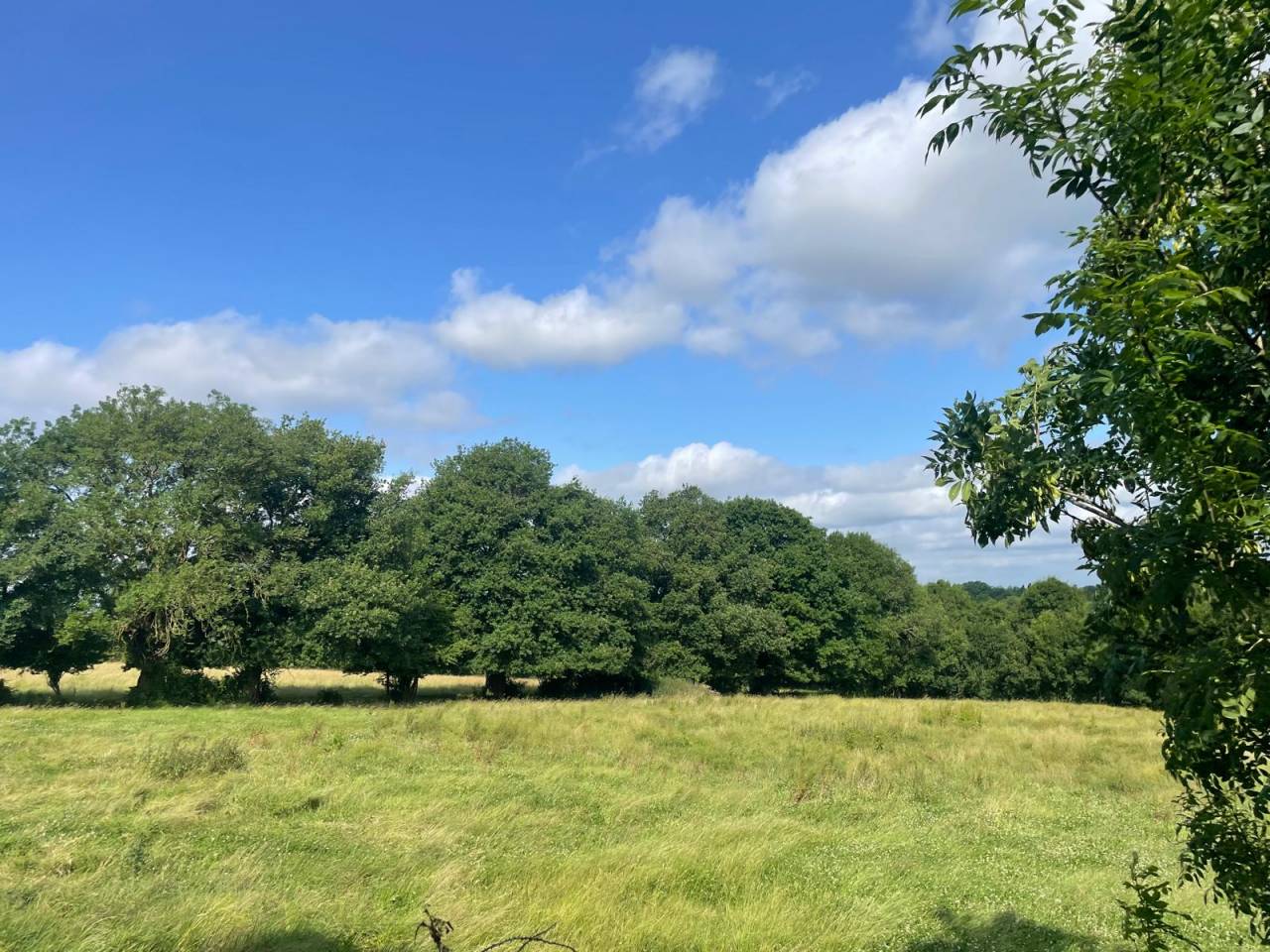 Equestrian property  Deux-Sèvres