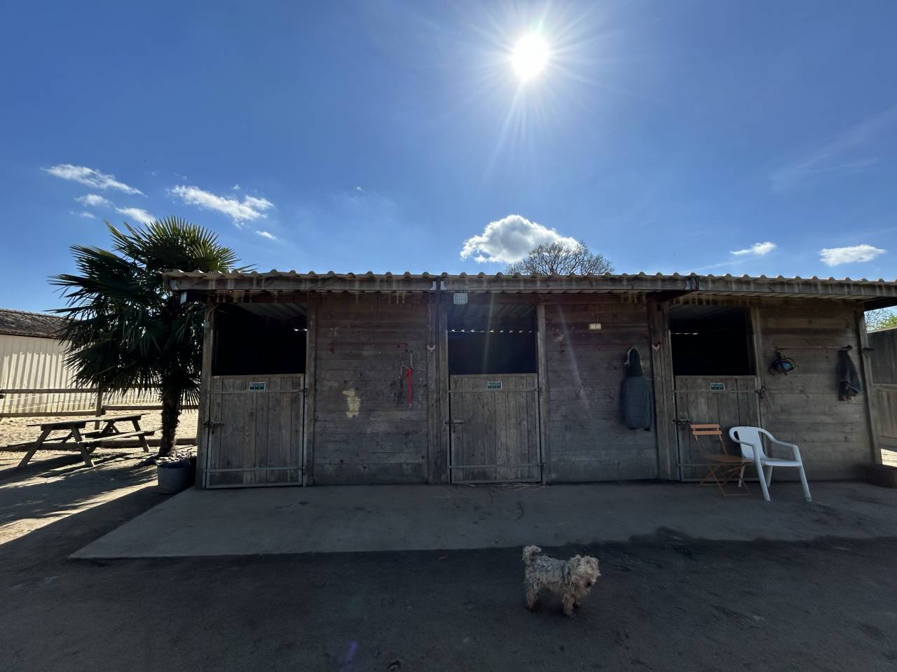 Luxurious equestrian property  Vienne