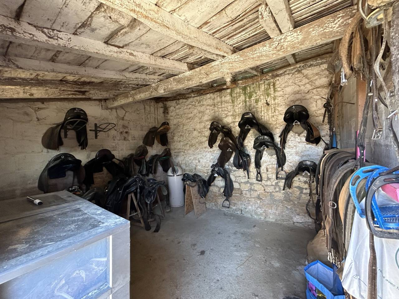 Luxurious equestrian property  Vienne