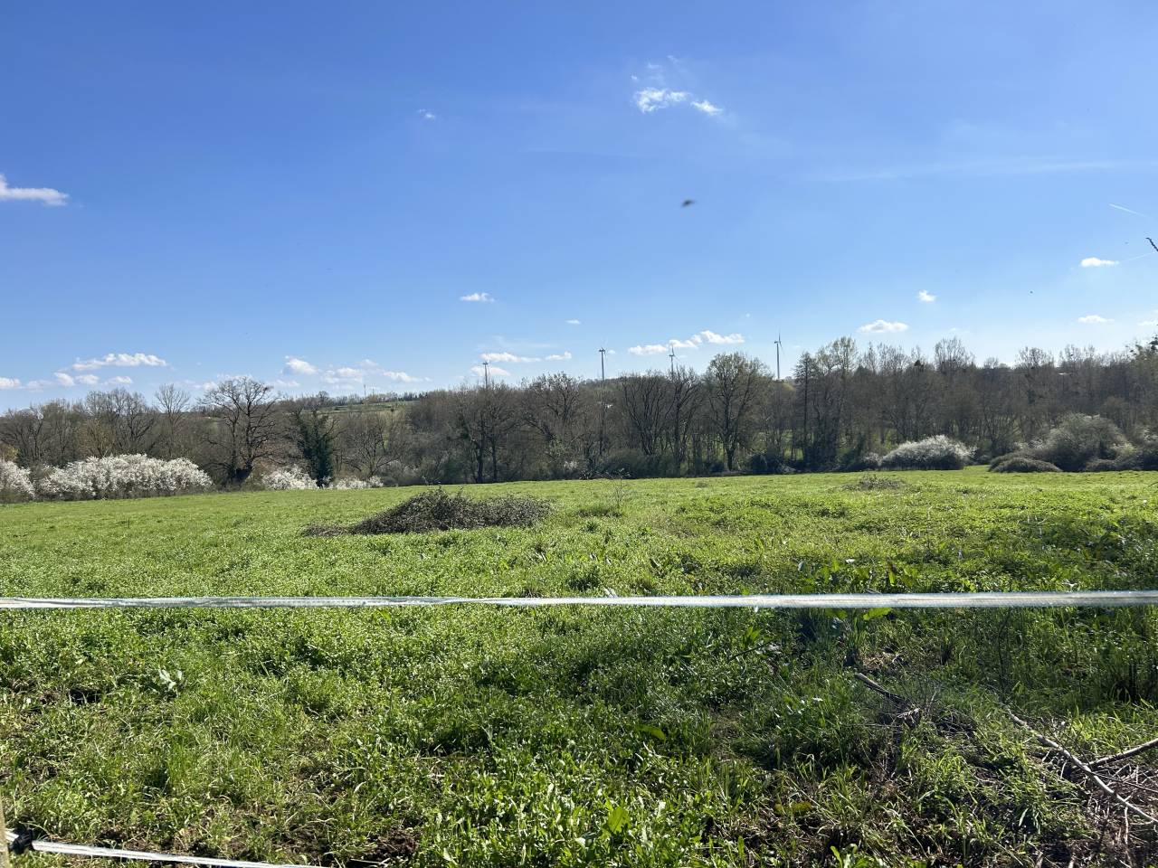 Luxurious equestrian property  Vienne