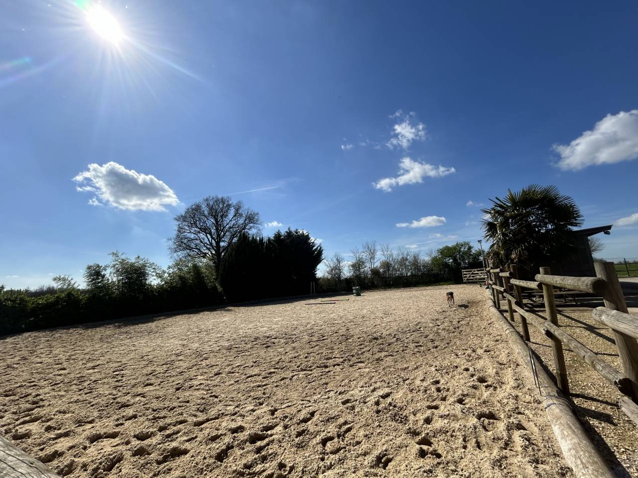 Luxurious equestrian property  Vienne