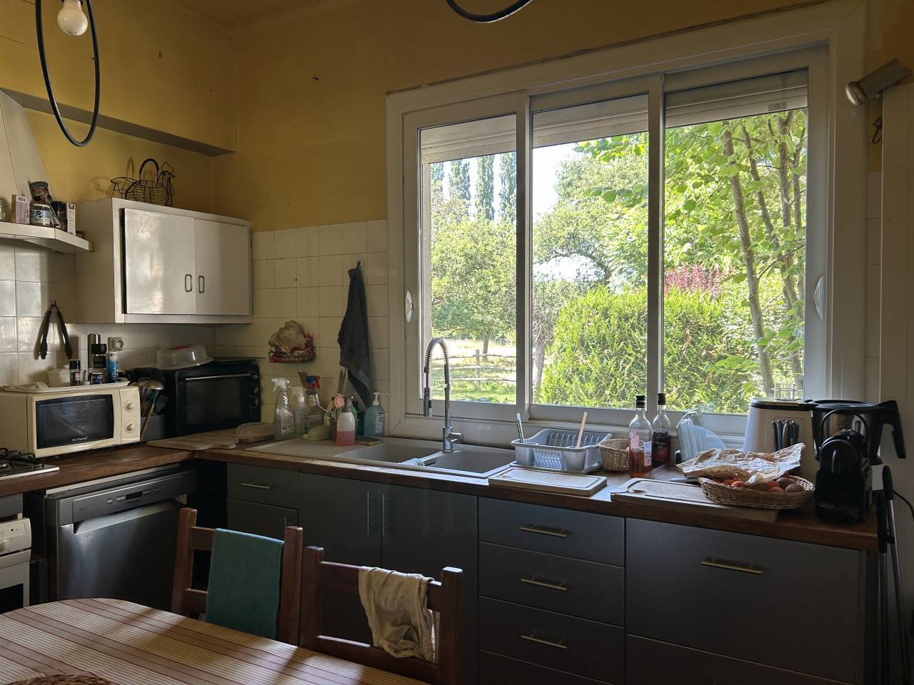 Luxurious equestrian property  Mayenne