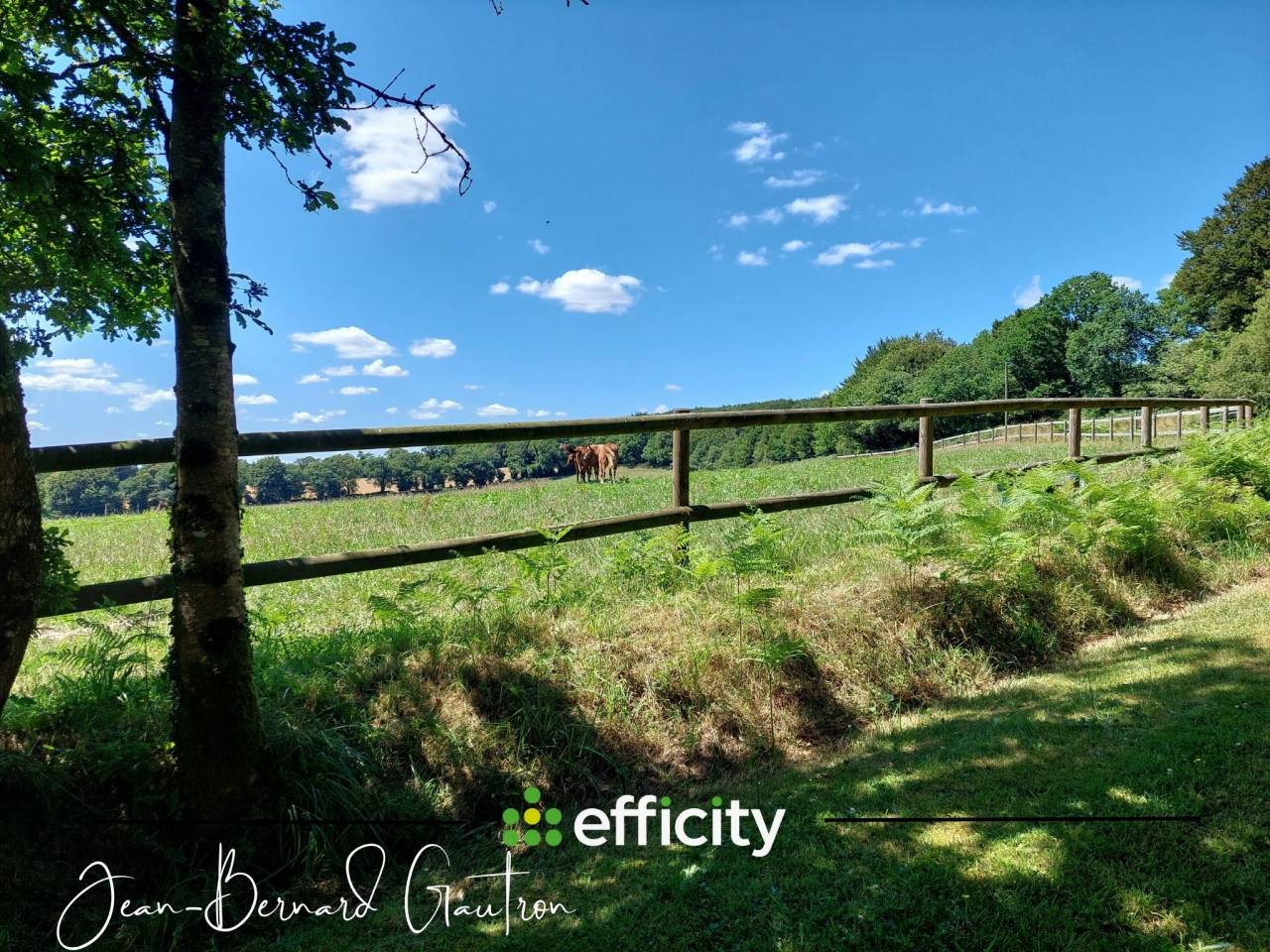 Equestrian property  Côte d'Armor