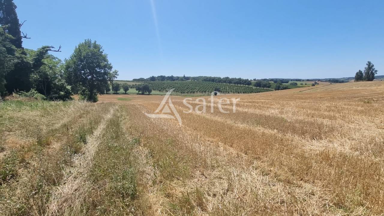 Other agricultural property  Gers