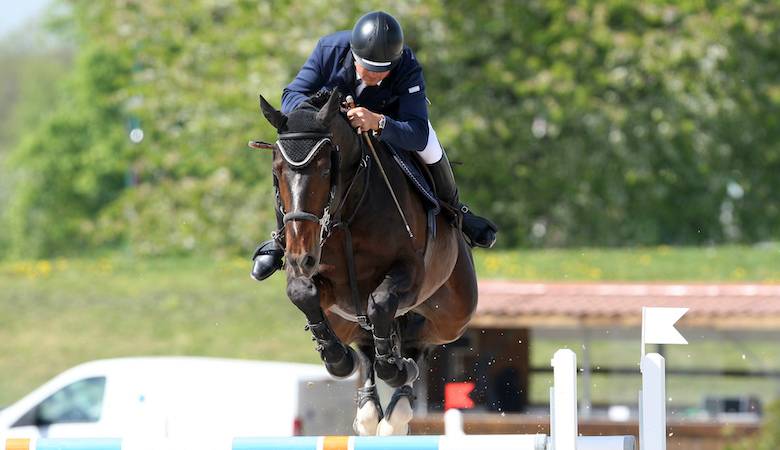 Nervoso - Selle Fran&ccedil;ais 2001 by LE TOT DE SEMILLY