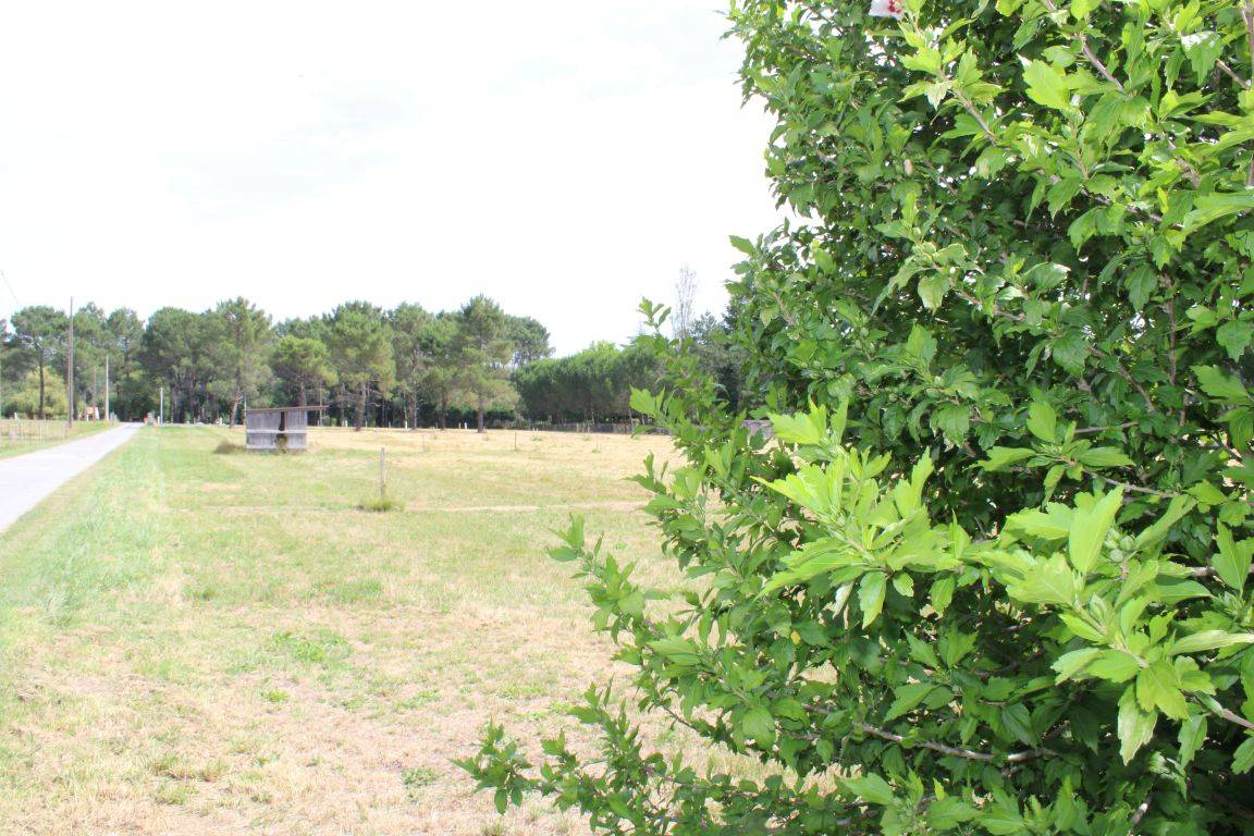 Equestrian property  Gironde