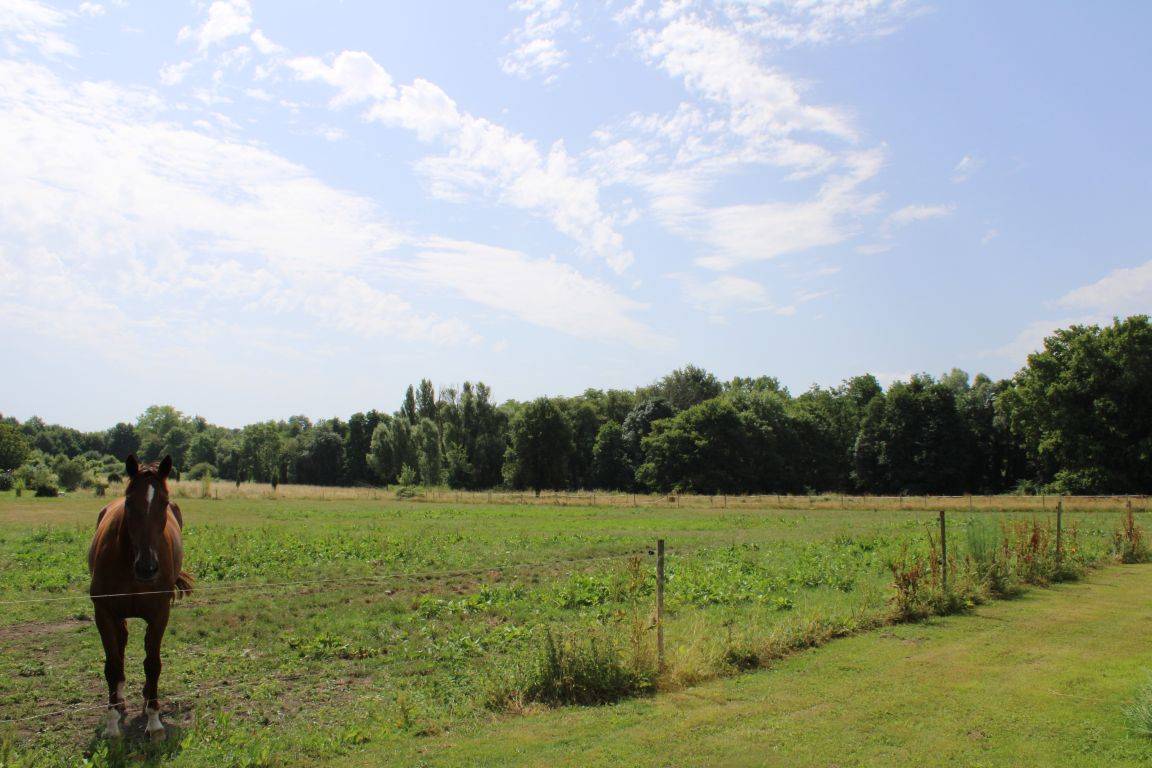 Equestrian property  Gironde