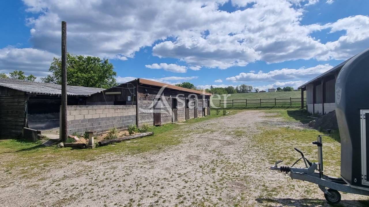 Equestrian property  tarn
