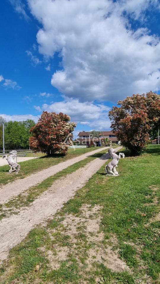 Equestrian property  tarn