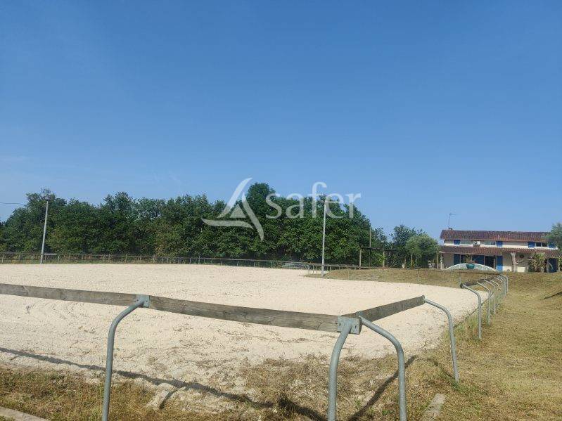 Equestrian property  tarn