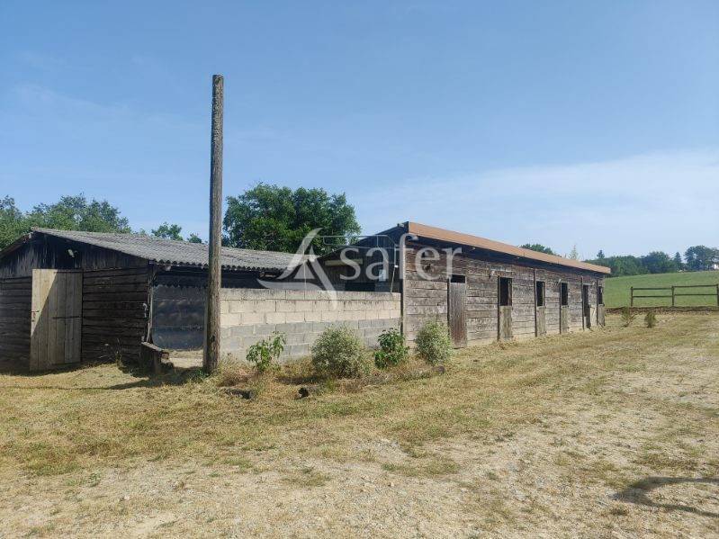 Equestrian property  tarn