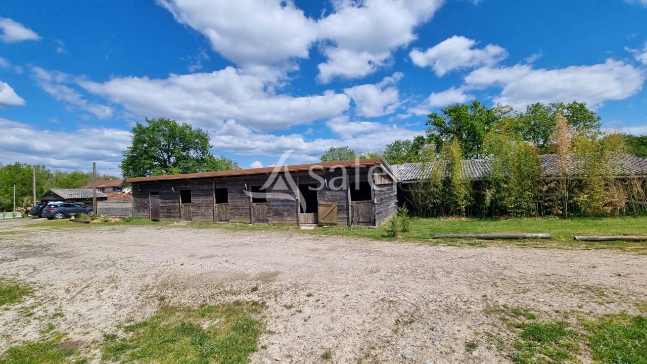 Equestrian property  tarn