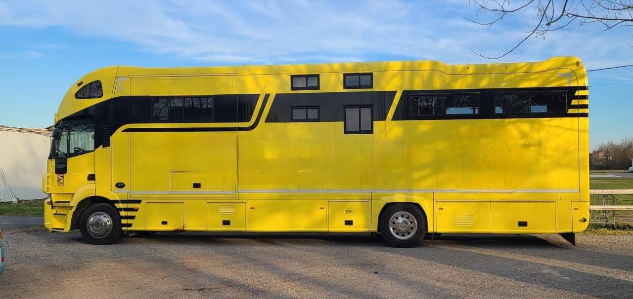 Horsebox NON-HGV Iveco STRALIS 19/360 2012 Used