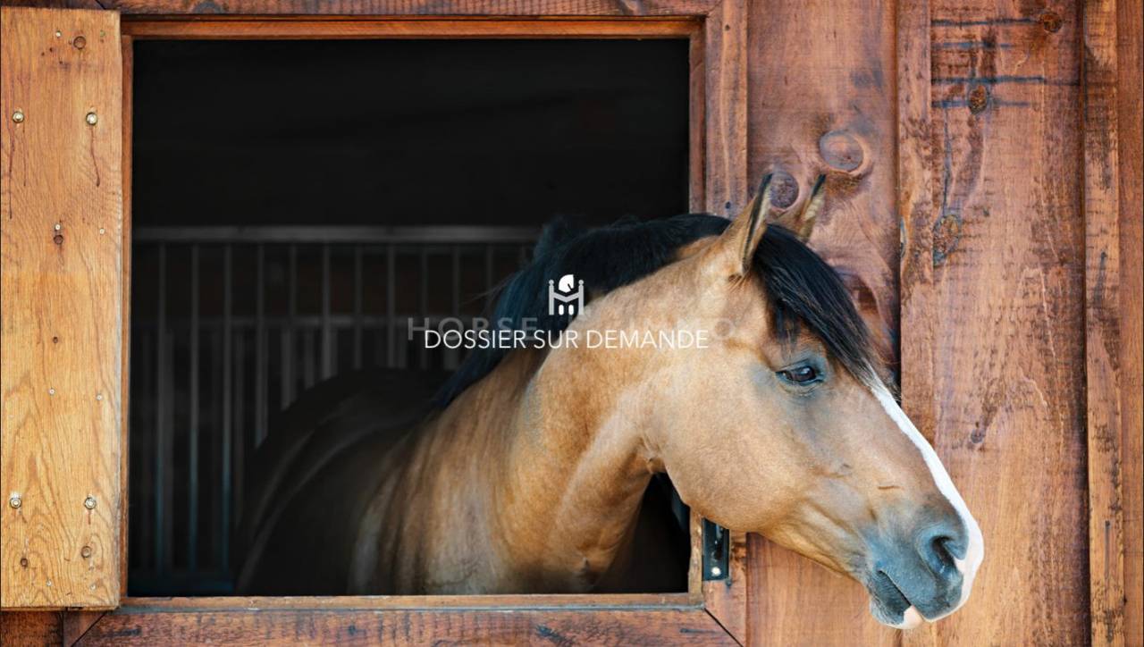 Stud farm  Indre-et-Loire