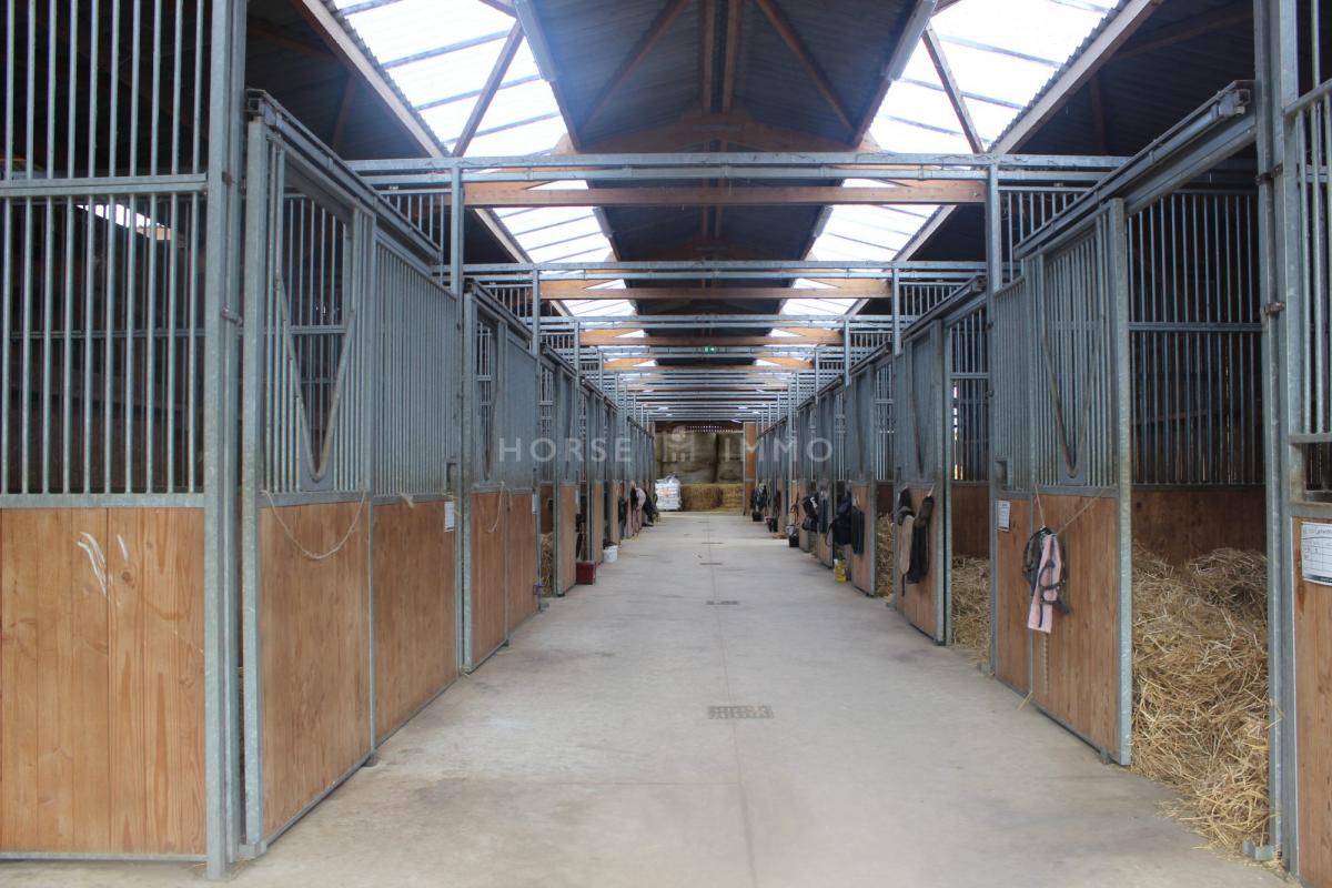 Equestrian property  Morbihan