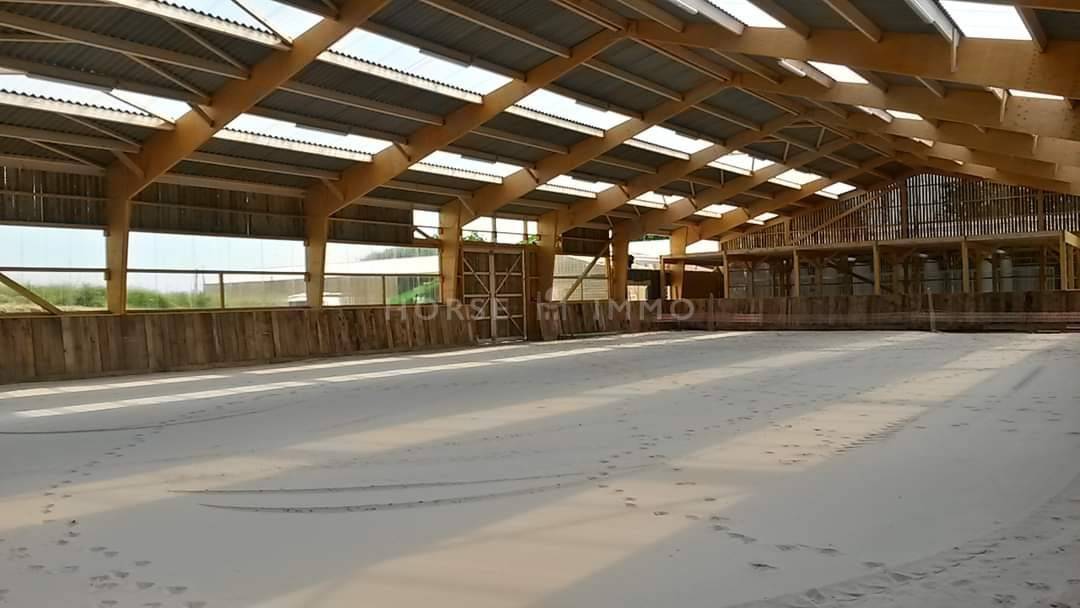 Equestrian property  Morbihan