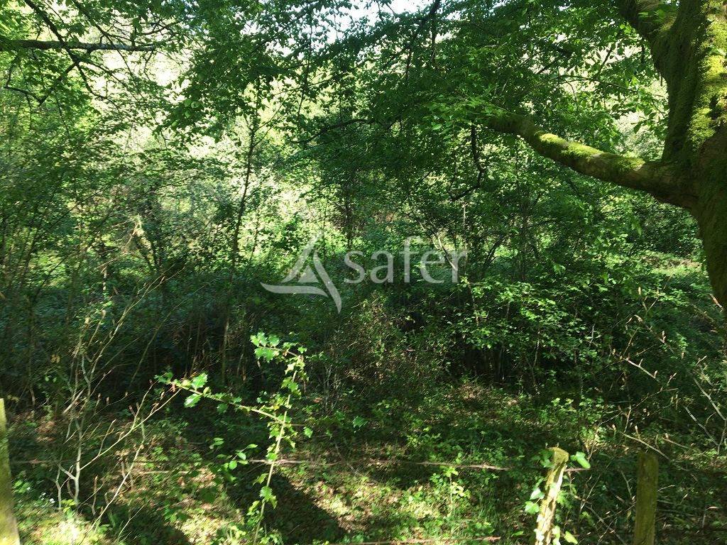 Other country property  Corrèze