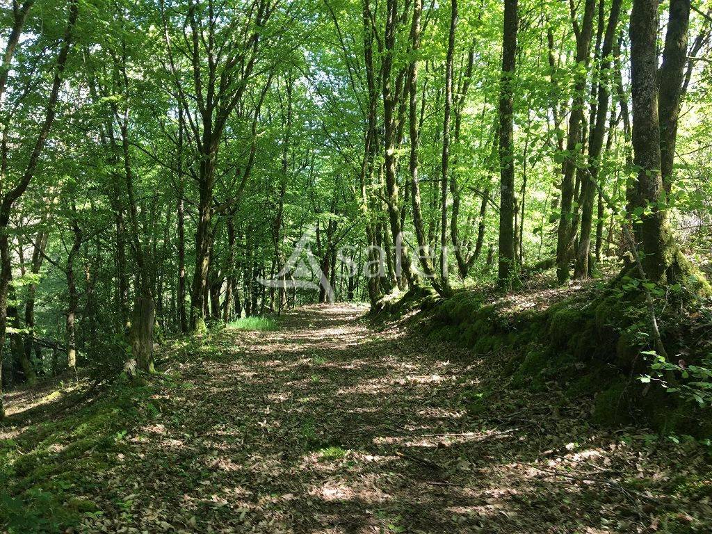 Other country property  Corrèze