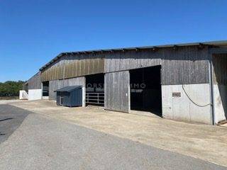 Equestrian property  Morbihan