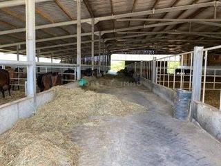 Equestrian property  Morbihan