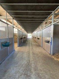 Equestrian property  Morbihan