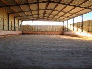 Equestrian property  Morbihan