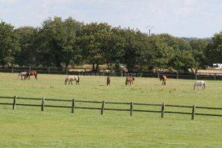 Equestrian property  Morbihan