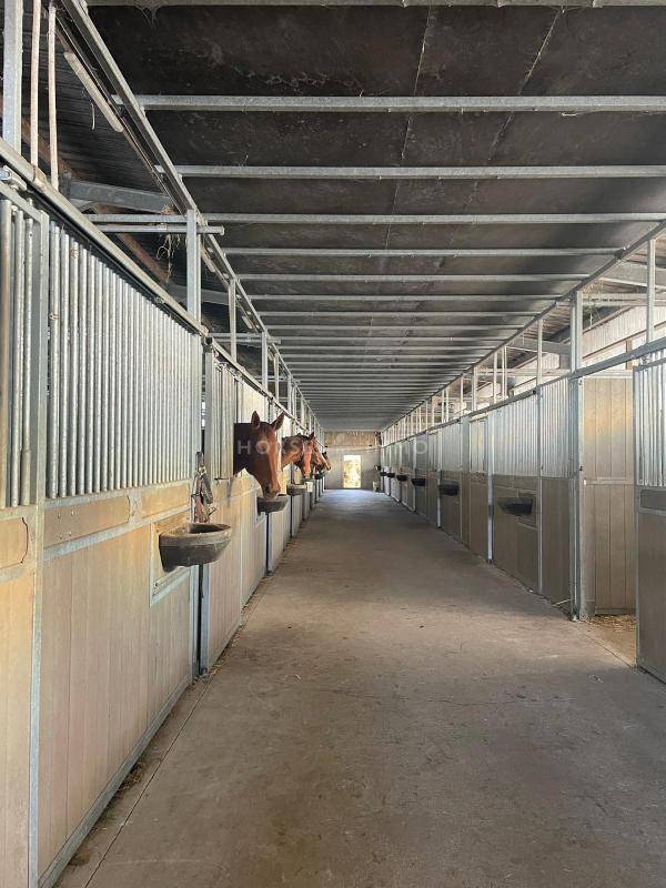 Equestrian property  Morbihan