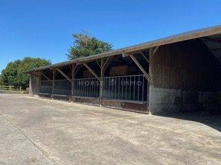 Equestrian property  Morbihan