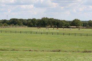 Equestrian property  Morbihan