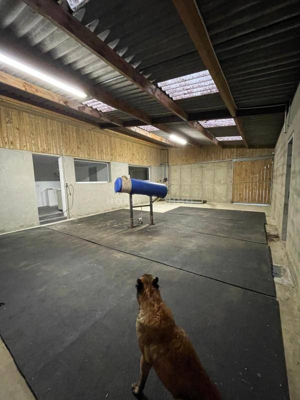 Equestrian property  Morbihan