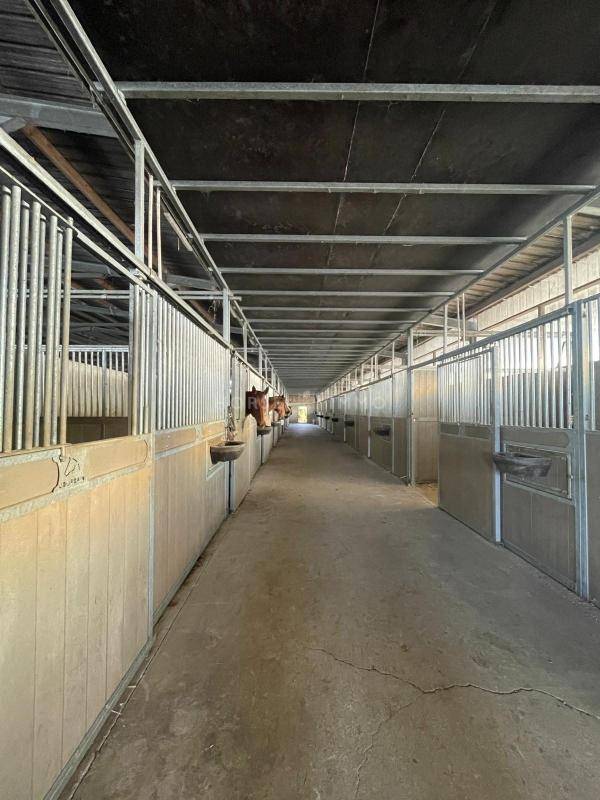 Equestrian property  Morbihan