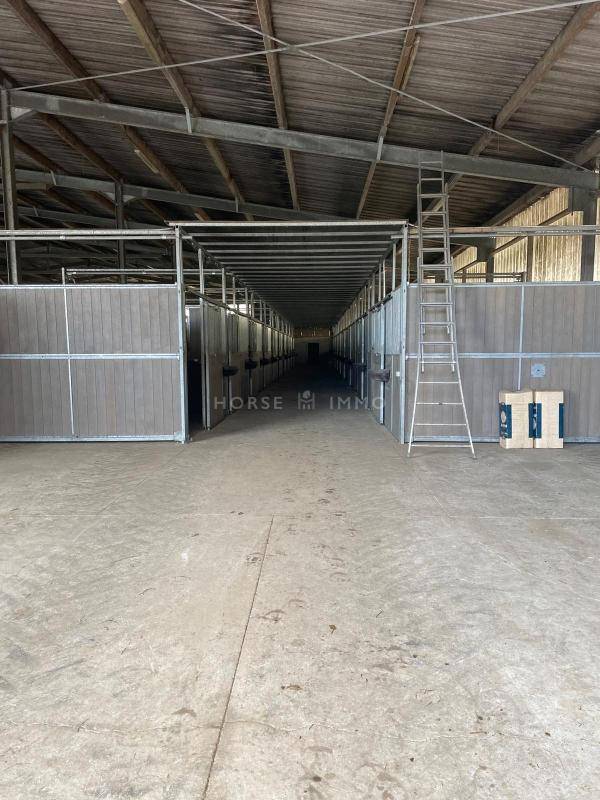 Equestrian property  Morbihan