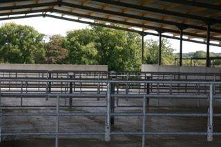 Equestrian property  Morbihan