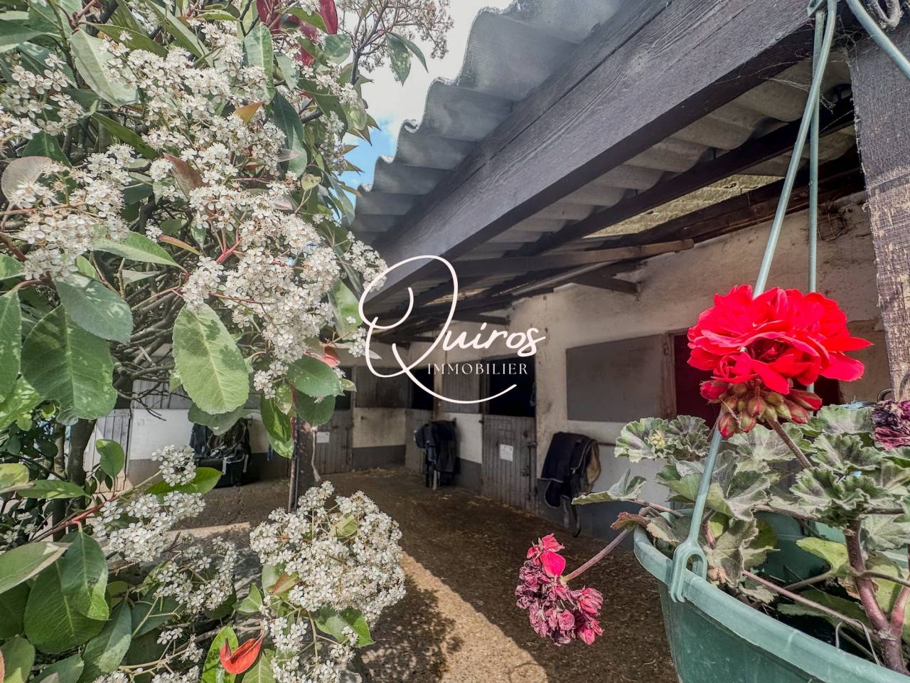 Equestrian property  Yvelines