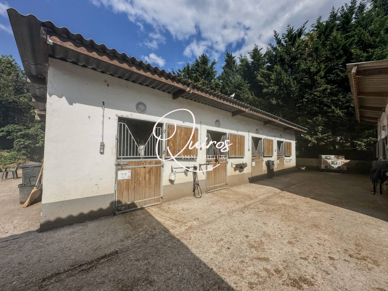 Equestrian property  Yvelines